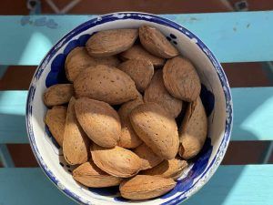 Almendras Largueta para mayoristas