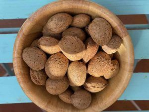 Almendras Marcona para mayoristas